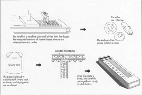 How pasta is made - manufacture, making, history, how to make, used ...