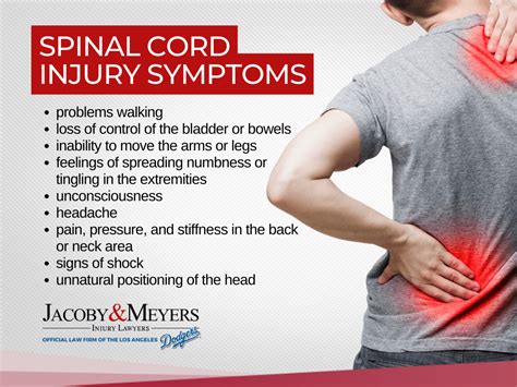 Basics of Spinal Cord Injury