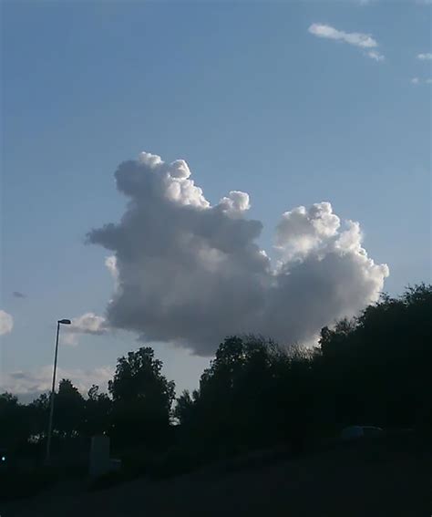 15 clouds that look like animals