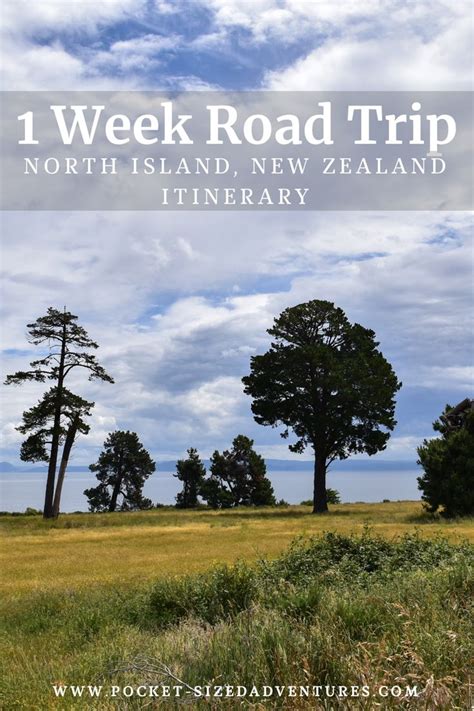 1 week New Zealand North Island road trip itinerary! | New zealand ...