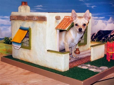 27 Innovative Doghouse Designs | DIY