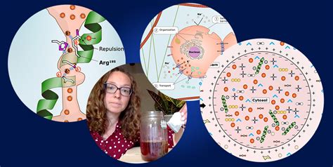 Explore everyday biology and think like a scientist in Foundations of ...