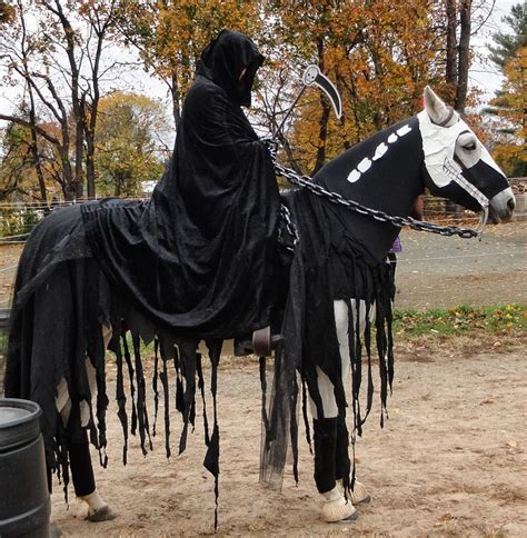 ≫ Caballos Disfrazados De Halloween > Comprar, Precio y Opinión 2024