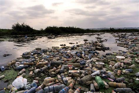 Ces photos qui prouvent les ravages de la pollution plastique sur la ...