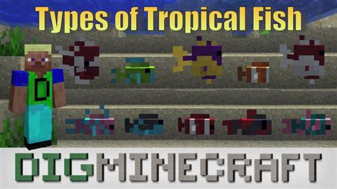 Types of Tropical Fish in Minecraft Aquatic Update - YouTube