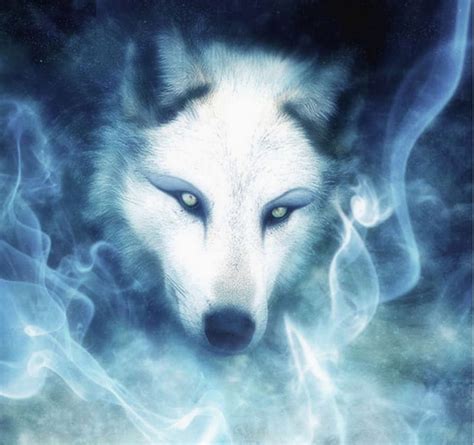 White Wolf, fantasy, abstract, art work, HD wallpaper | Peakpx