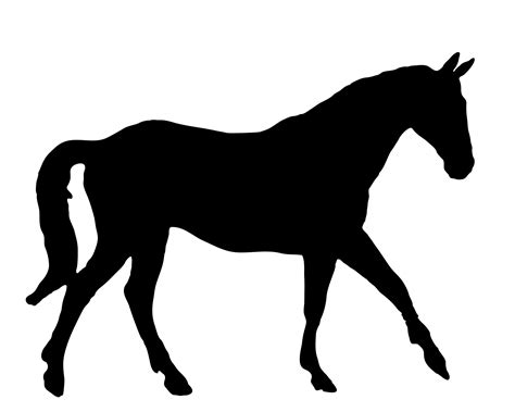 Horse Black Silhouette Free Stock Photo - Public Domain Pictures