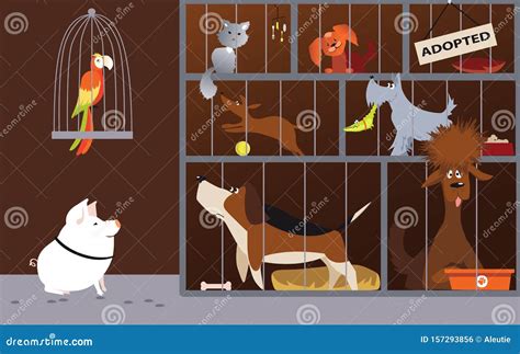 Animal Shelter. Owners Choose Puppy Dog In Cage Vector Cartoon ...