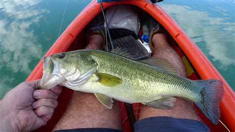 Devils River Kayaking | Read the trip report | Patrick Lewis | Flickr