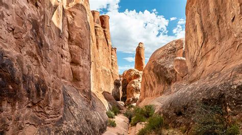 Which Trail Should I Hike in Arches National Park in Utah?