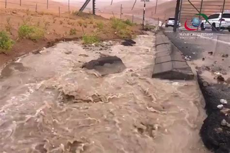 VIdeo: Rain floods Al Ain as residents enjoy unexpected weather - GulfToday