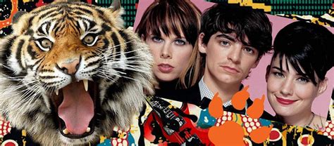 Le Tigre Zoolander