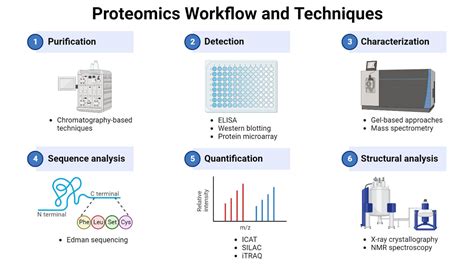 Proteomics: Types, Methods, Steps, Applications