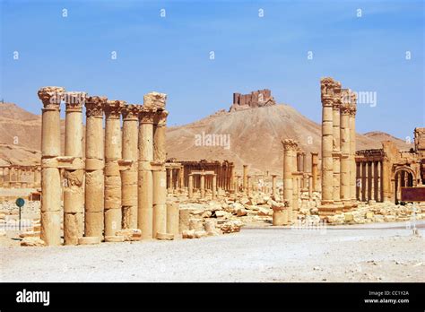 ancient Palmyra, Syria Stock Photo - Alamy