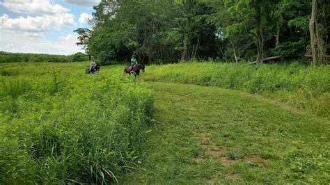 Fox Meadow Trail - Maryland | AllTrails