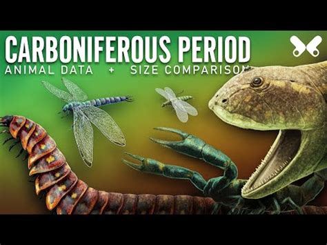 CARBONIFEROUS Period. Animals size comparison and data.