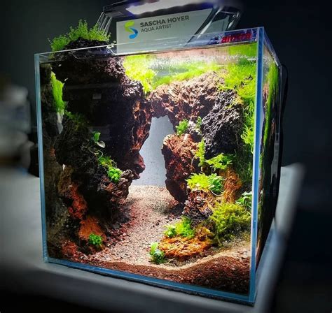 Nano 30x30x30 cm aquascape tank with ROCCIA FIREWORK ROCKS Setup Layout | Nano aquarium ...