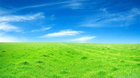 Grassland Wallpapers - Wallpaper Cave