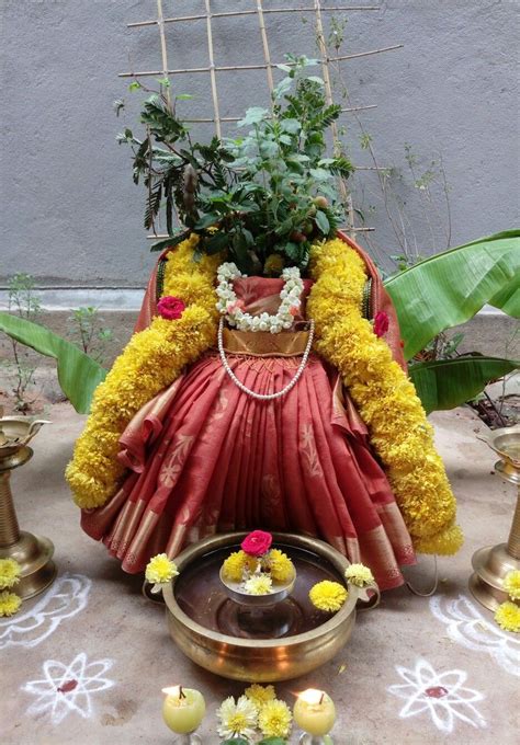 Tulasi Vivah tulasi poojae , Tulsi is venerated as a goddess in Hinduism and is sometimes consi ...