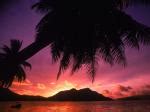 Tropical Beach at Sunset The Seychelles picture, Tropical Beach at Sunset The Seychelles photo ...