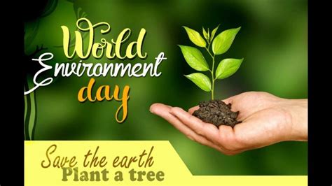 SLOGANS ON WORLD ENVIRONMENT DAY - Tech Inspiring Stories Environment Day Quotes, Happy ...