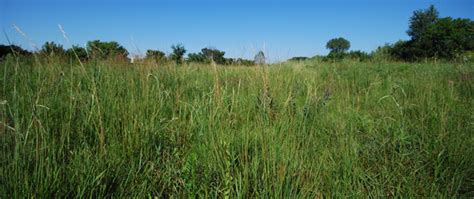 La Crosse River Trail Prairies · iNaturalist