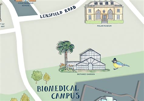 Illustrated Map for the University of Cambridge – Hireillo | Hire an Illustrator