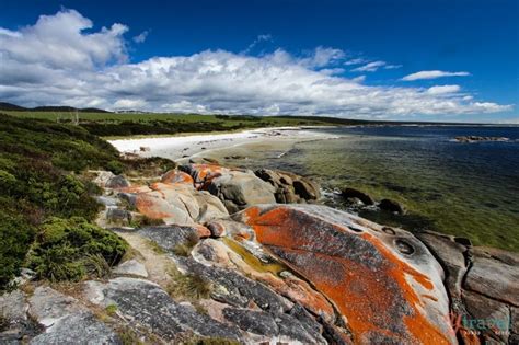 Guide To Visiting The Bay Of Fires, Tasmania