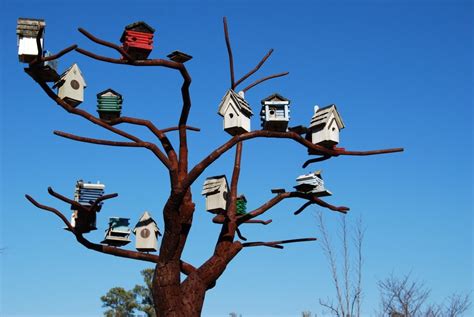 Bird Houses on tree free image download