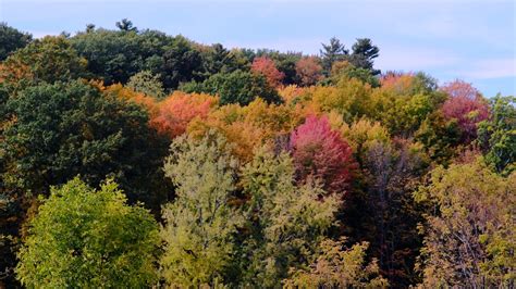 Vermont fall foliage 2020: See interactive maps of changing colors