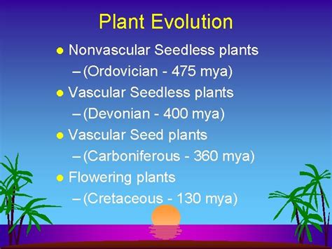 Seedless Plants Plant Evolution Plant Evolution Nonvascular Seedless