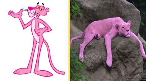 Pink Panther Characters In Real Life - YouTube