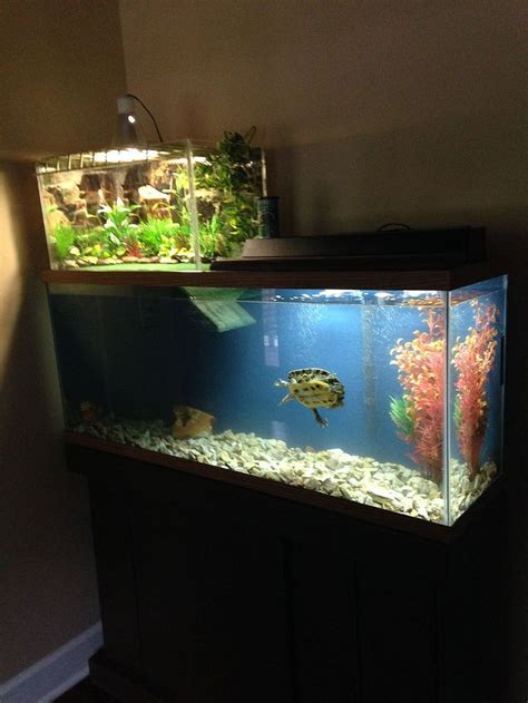 Awesome fish tank ideas 33 | Turtle habitat, Aquatic turtle habitat, Turtle tank