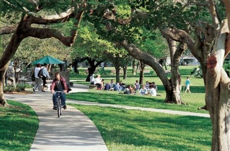 University of Miami - Profile, Rankings and Data | US News Best Colleges