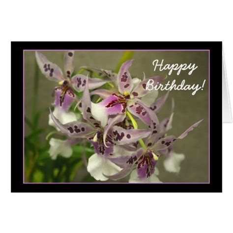 Happy Birthday Pink Orchids greeting card | Zazzle