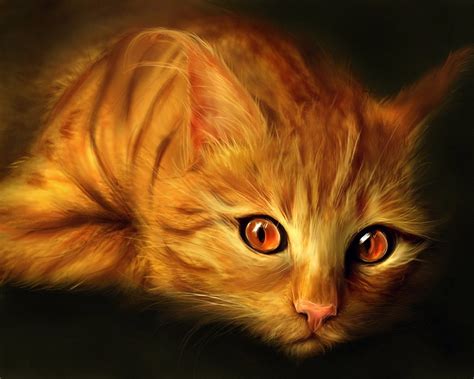 Papel de parede : 1440x1152 px, gato, Olhos, figura, koshak, óleo, amarelo 1440x1152 - goodfon ...