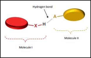 Hydrogen Bonding In Hydrogen Flouride (HF) | Definition