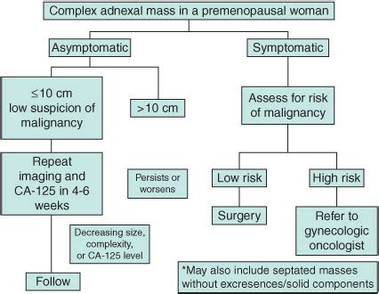 Management of the Adnexal Mass | Obgyn Key