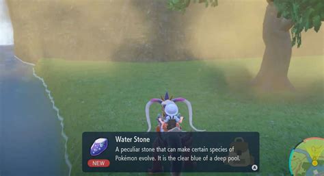 How To Get Water Stone In Pokemon Scarlet And Violet