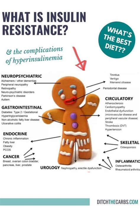 💡 What Is Insulin Resistance (and the best diet)?