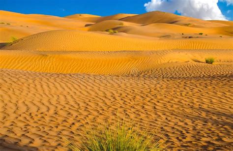 Sand Dunes in the Arabian Desert Stock Image - Image of fascinating, blue: 203355761