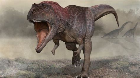 Dinosaur finding hints at why T-rex had small arms - BBC News