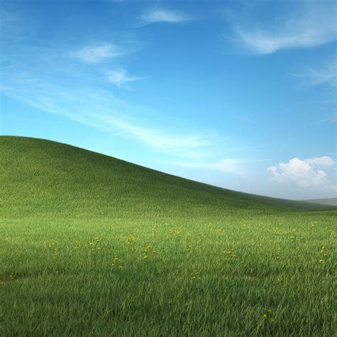 Wallpaper meadow bliss, green grass, landscape, microsoft windows xp ...