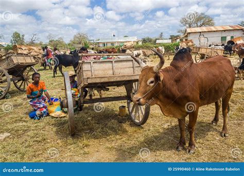 Malagasy people editorial image. Image of land, people - 25990460