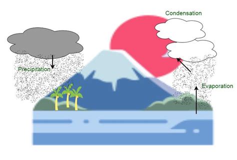 What is Condensation? - GeeksforGeeks