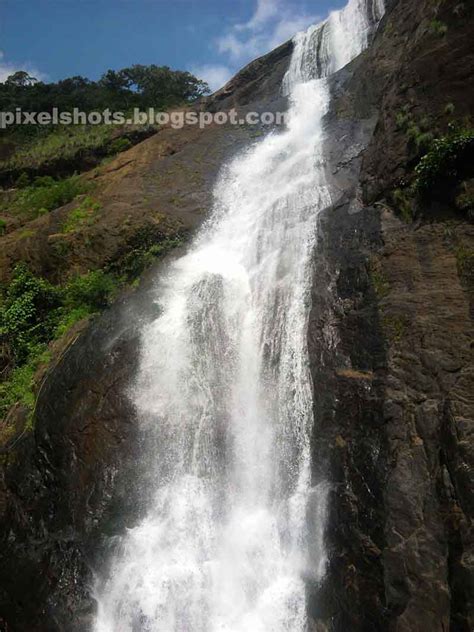 Palaruvi Waterfalls,3rd Highest Waterfalls,Kerala-Photos,Entry pass ...