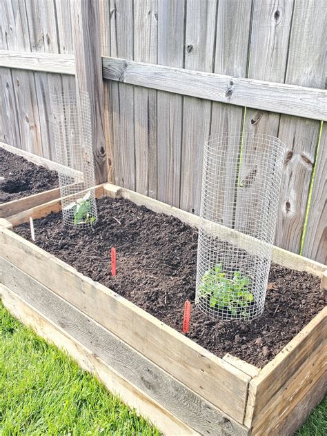 How to Build Raised Garden Beds from Wood Pallets - Everyday Shortcuts