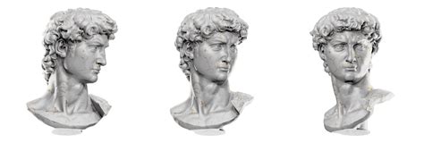 Free lindo 3d render do de michelangelo david cabeça escultura 22129042 PNG with Transparent ...