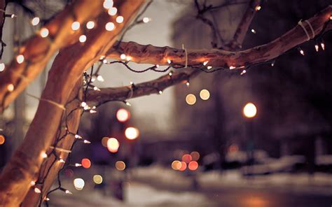 HD wallpaper: winter, the city, lights, tree, mood, Christmas, light bulb | Wallpaper Flare