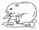 Gopher Coloring Pages sketch template